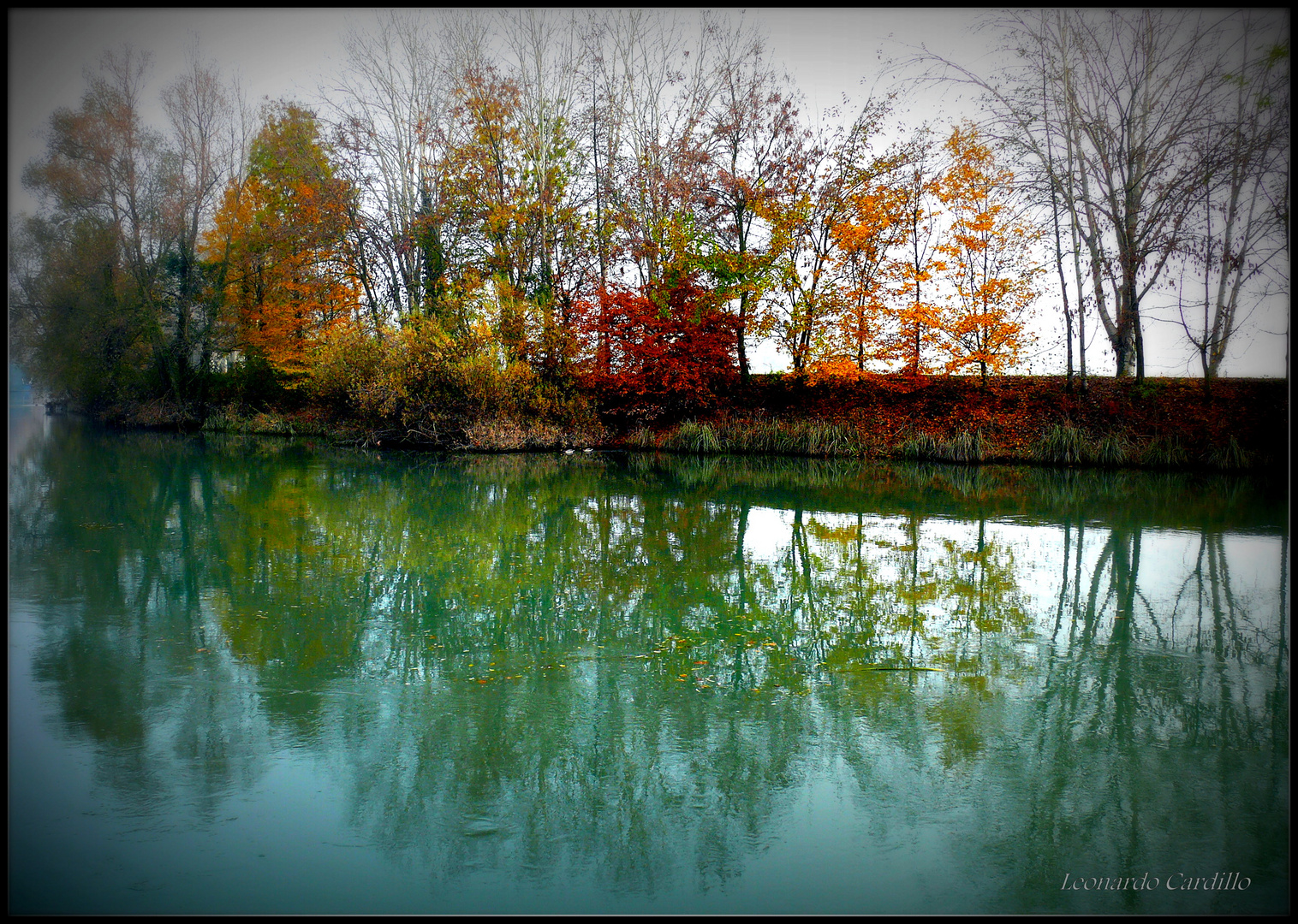 Colori d'autunno