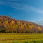 Colori d'Autunno