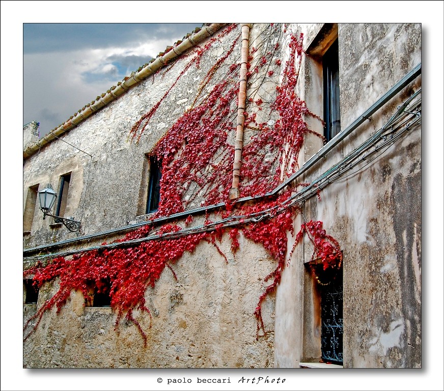 Colori d'autunno