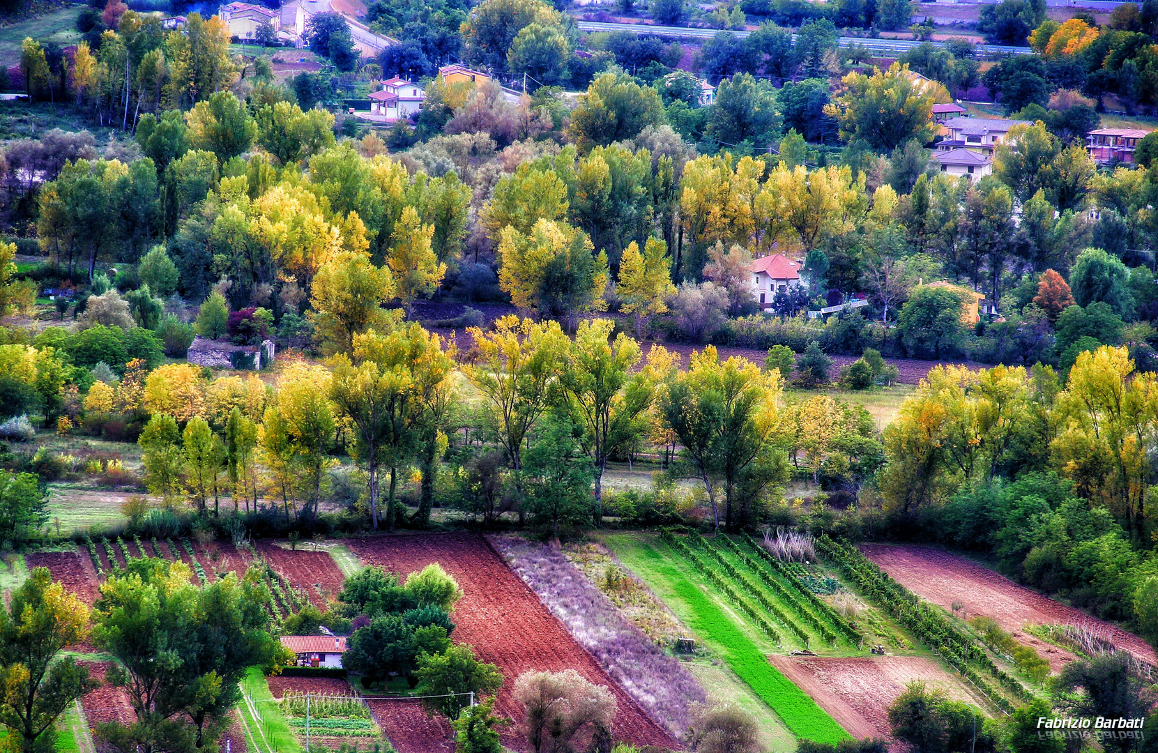 Colori d'Autunno