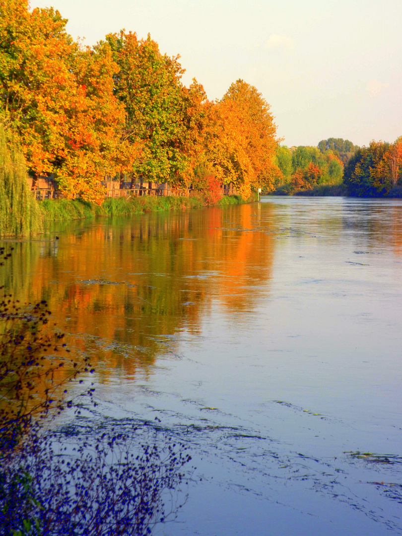 Colori d'autunno