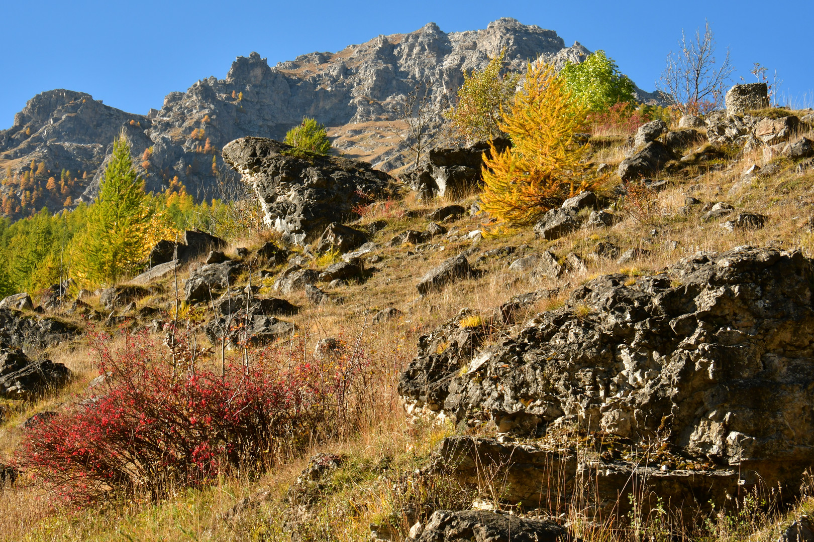 Colori d'autunno - Autumn colors