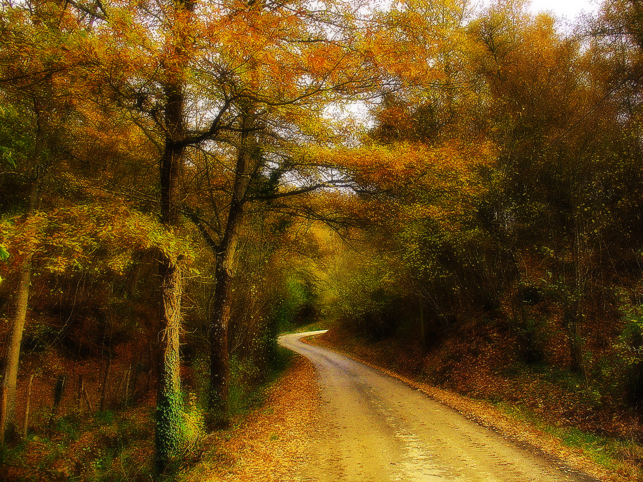 colori d'autunno