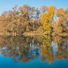 Colori d'autunno