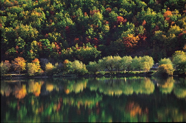 Colori d'autunno