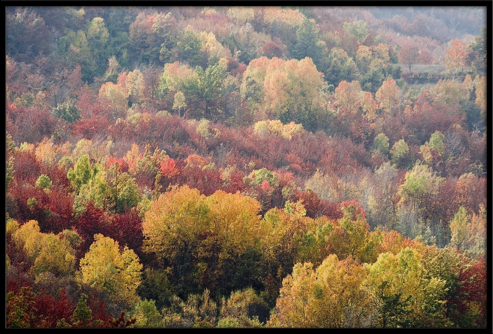 Colori d'autunno