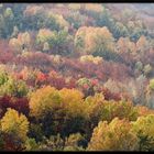 Colori d'autunno