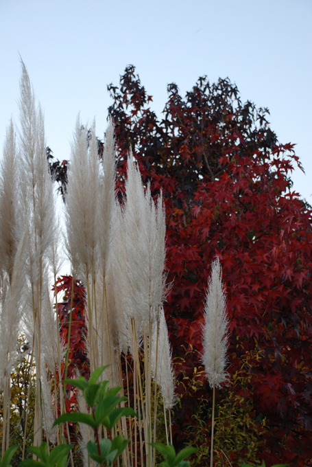 COLORI D'AUTUNNO