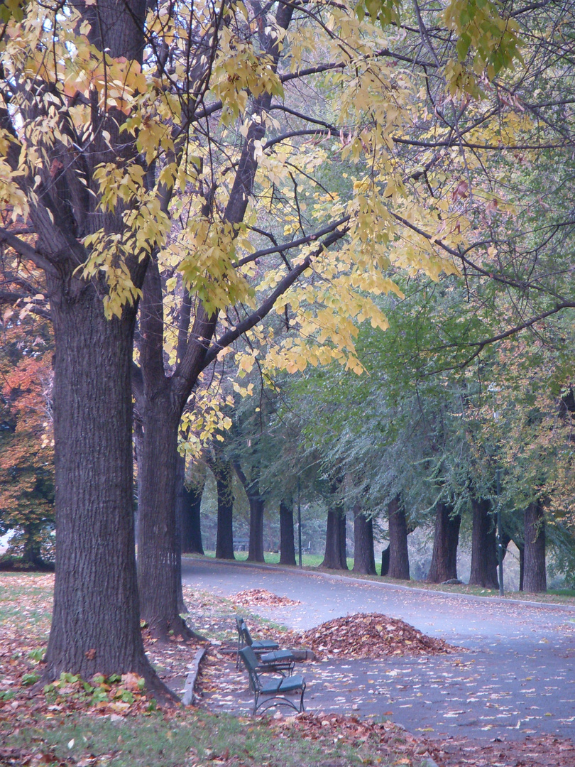 colori d'autunno