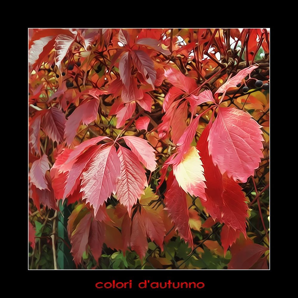 colori d'autunno