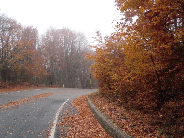 Colori d'Autunno in montagna