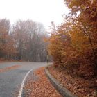 Colori d'Autunno in montagna