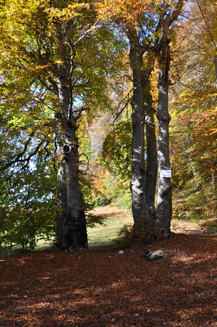 Colori d'autunno, le colonne d'Ercole naturali