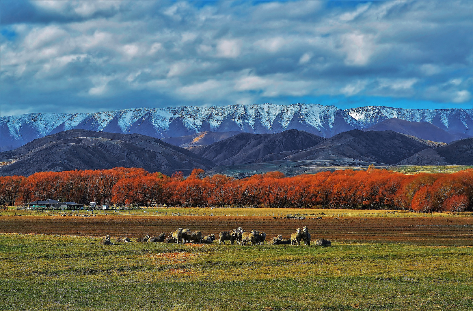 Colori d'autunno Nuova Zelanda