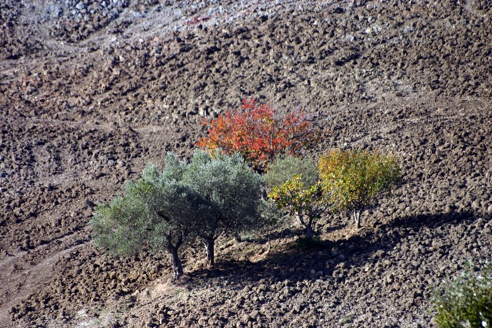 colori della Pulia