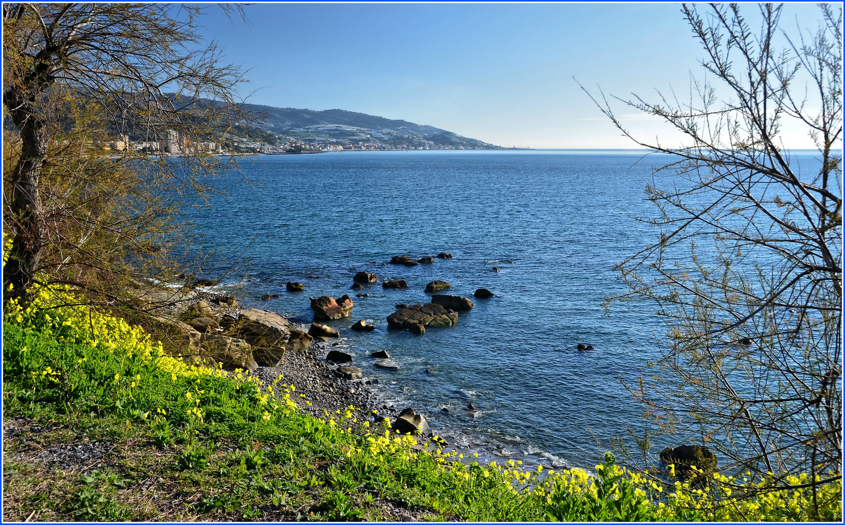 colori della riviera dei fiori