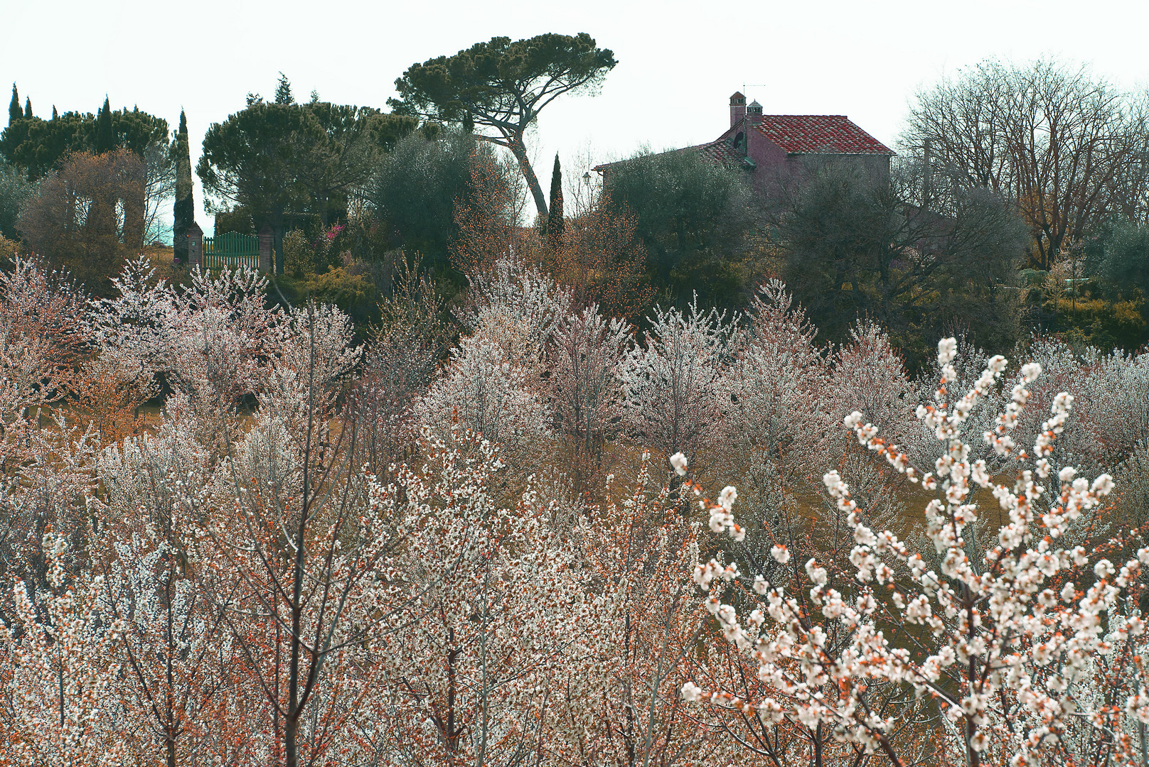 Colori della Toscana