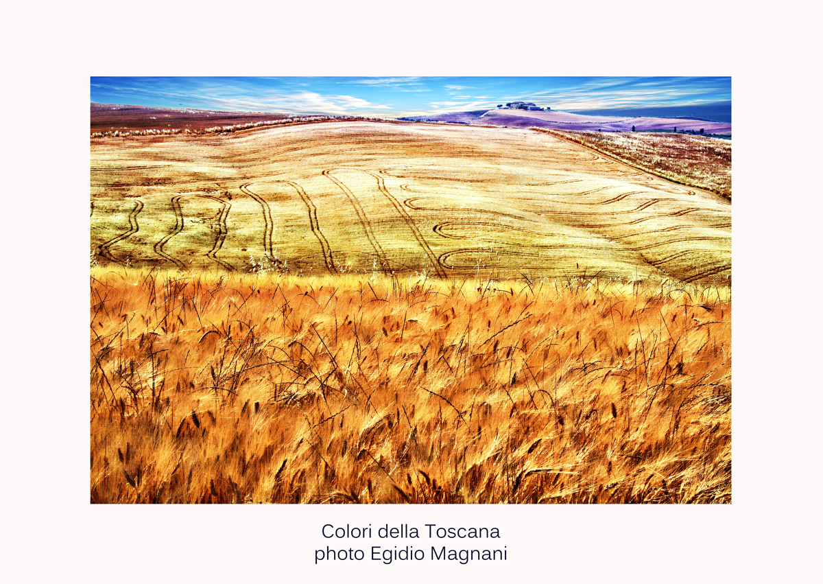 Colori della Toscana