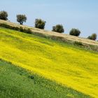 colori della val d’Orcia