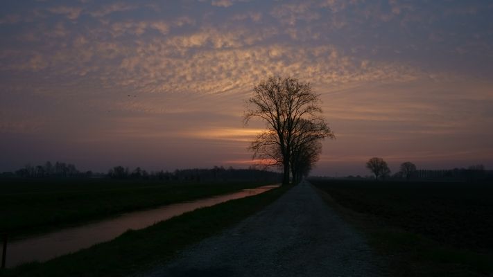 Colori dell'alba (1)