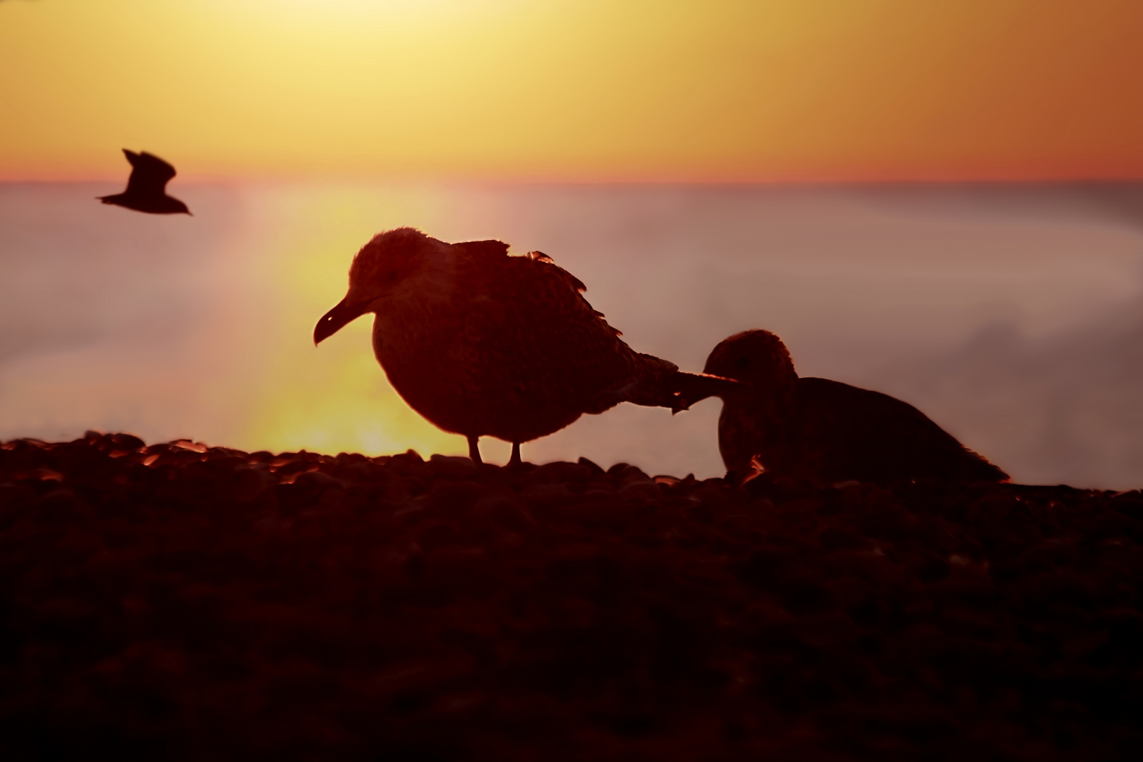 Colori dell'alba al mare