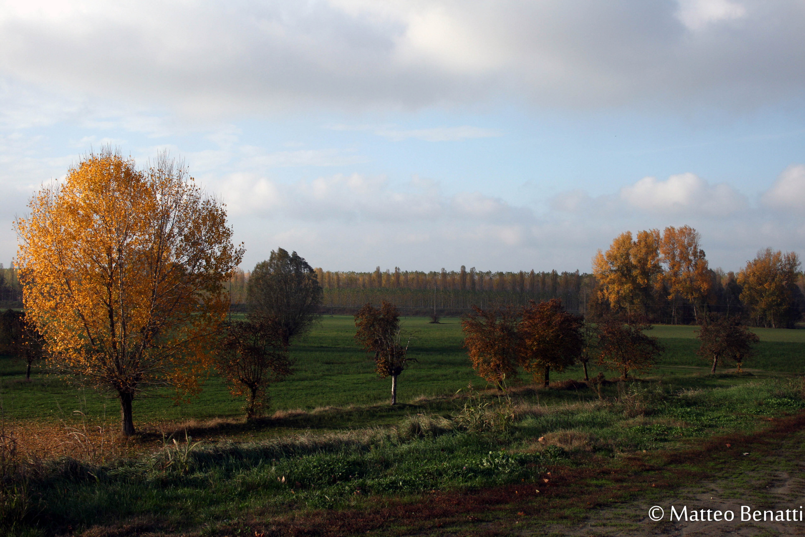 Colori dell'Autunno