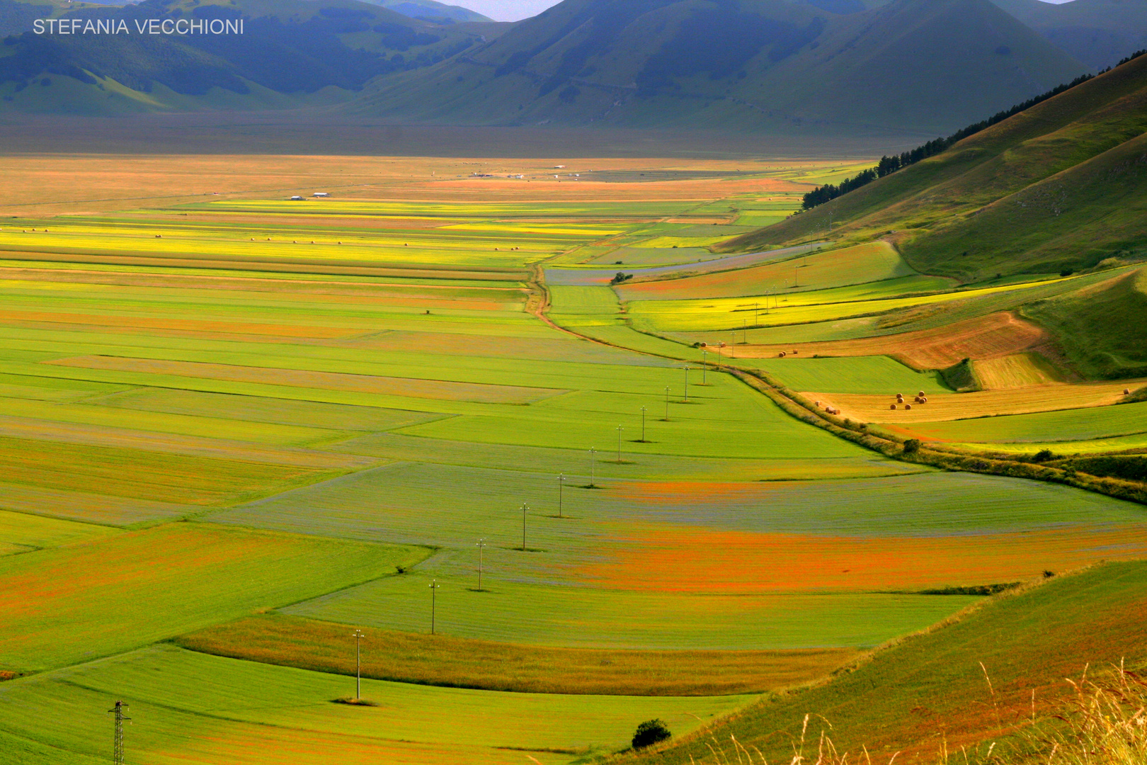 Colori d'estate