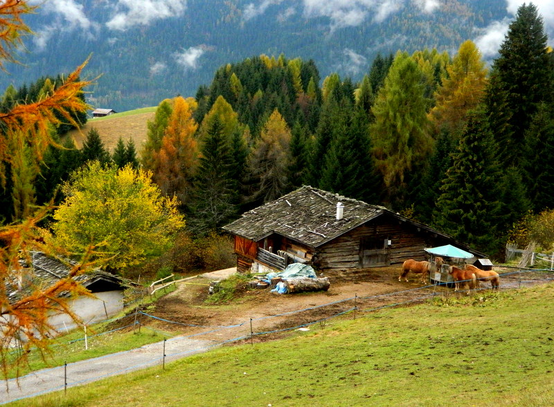 Colori di autunno - 1