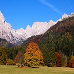 Colori di autunno - 10