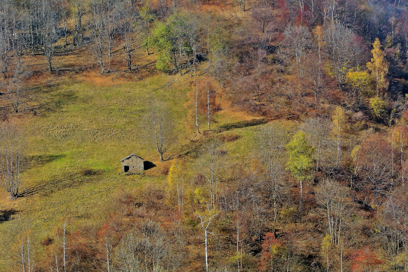 Colori di autunno