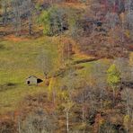 Colori di autunno