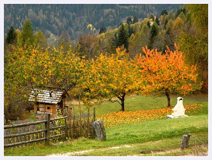 Colori di autunno