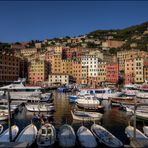 Colori di Camogli