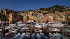 Colori di Camogli