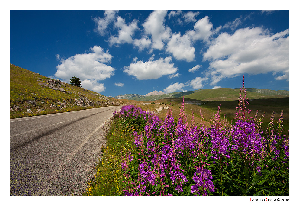 Colori di Campo Imperatore