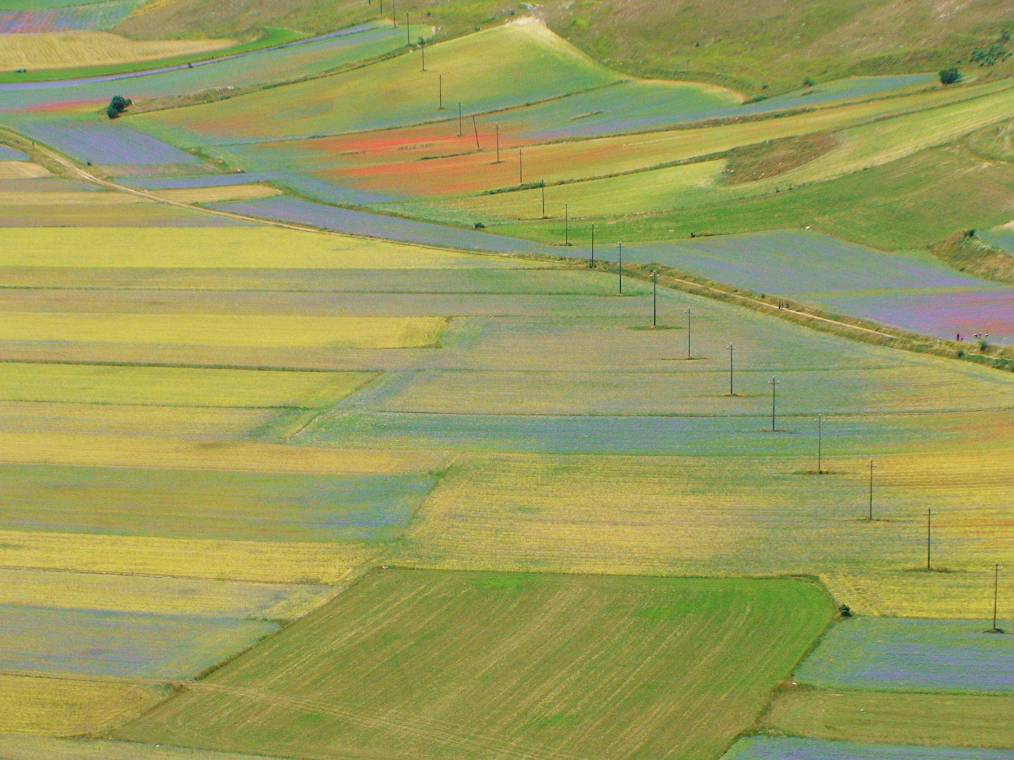 Colori di Castelluccio