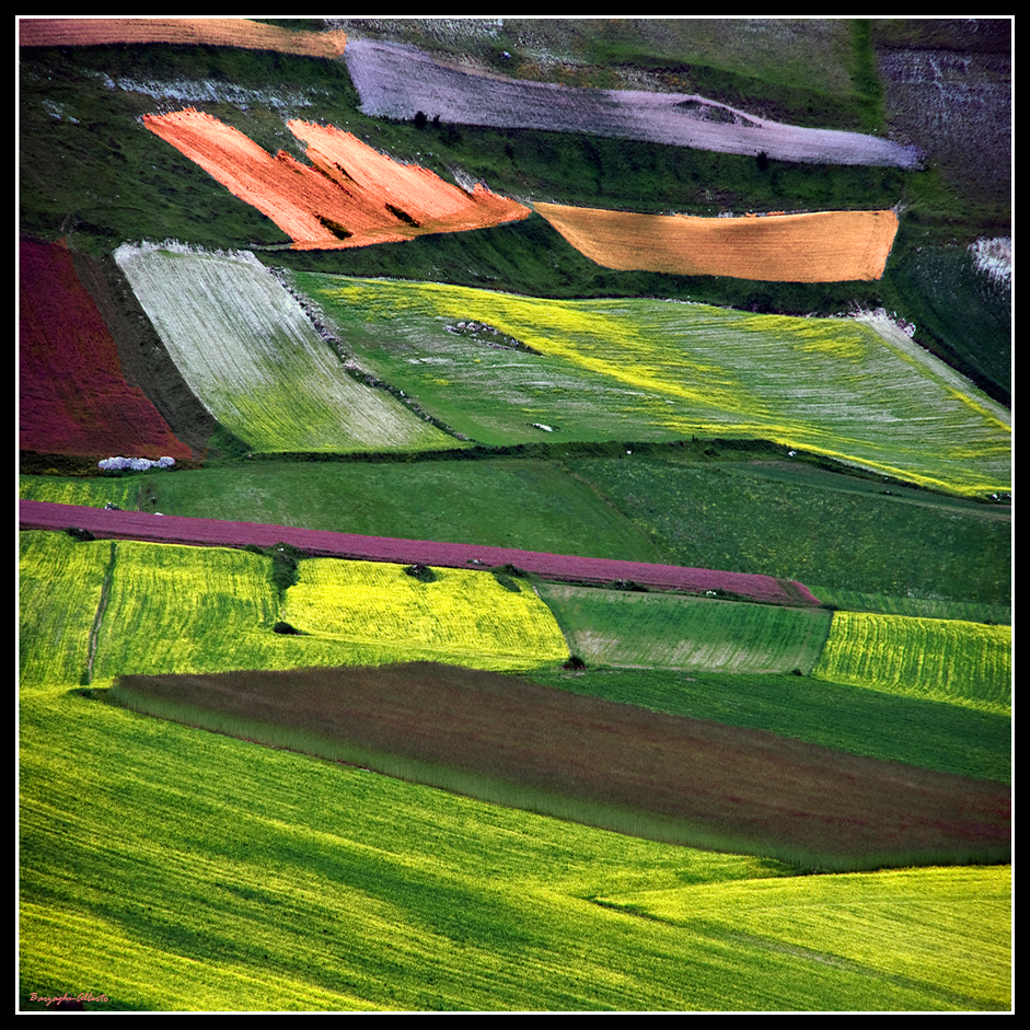 colori di Castelluccio