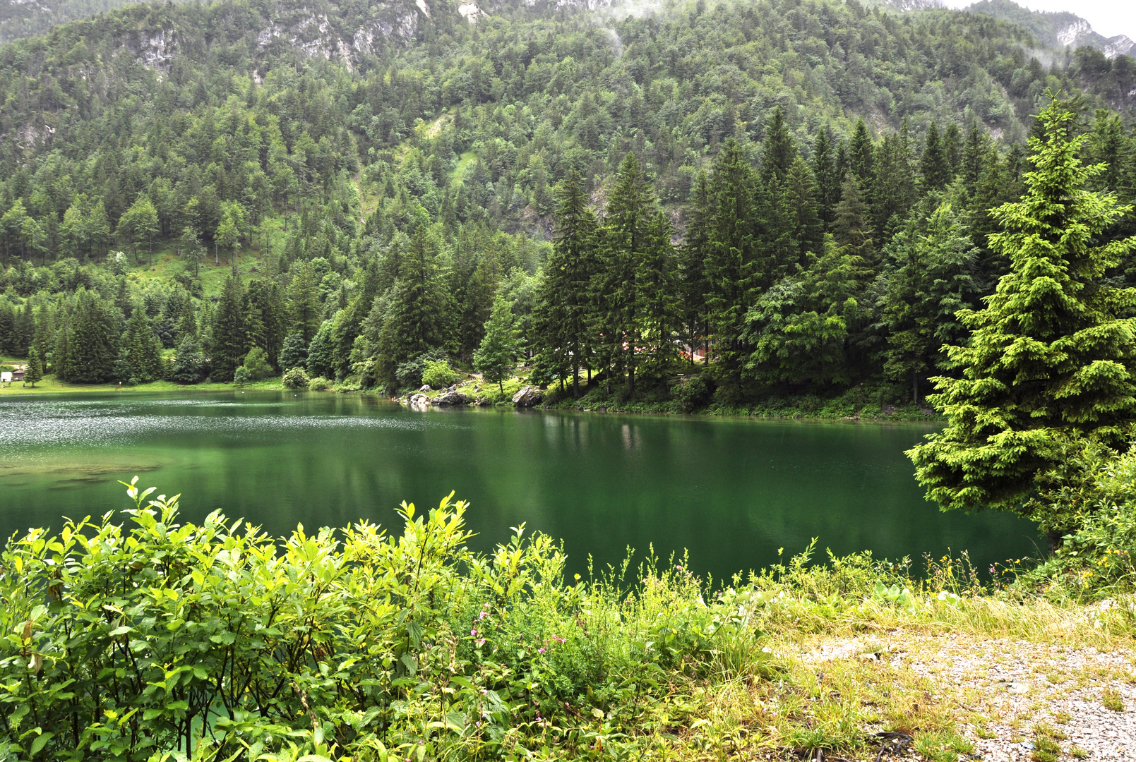 Colori di Lago del Predil