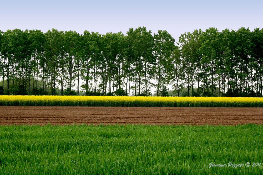 Colori di primavera