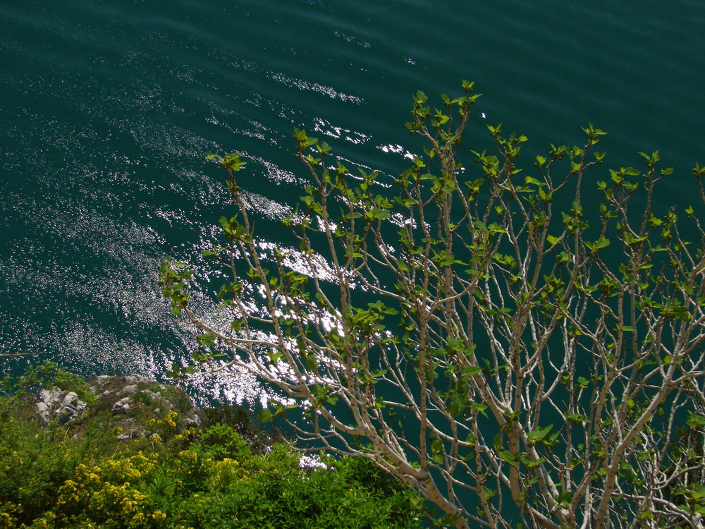 Colori di Primavera