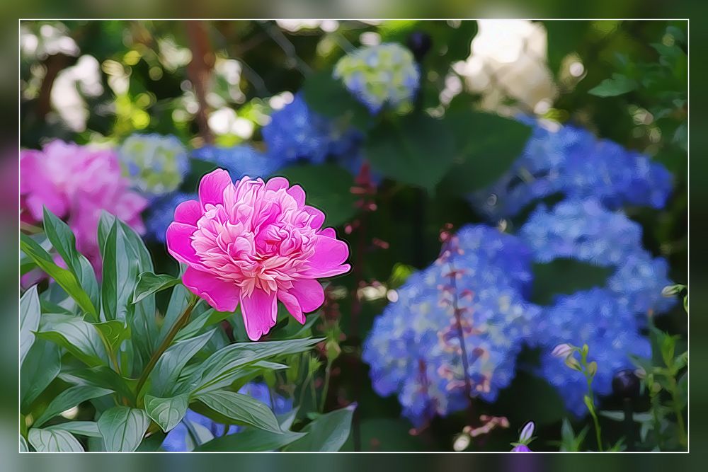 Colori di Primavera