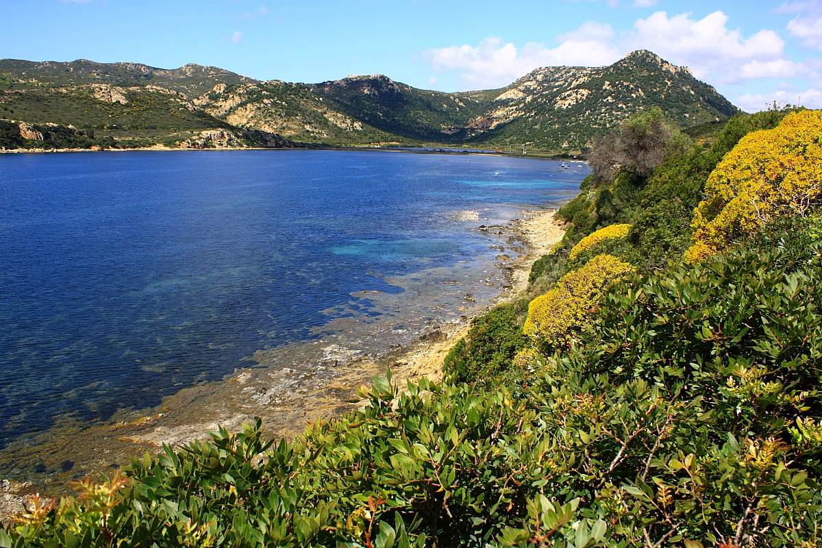 Colori di primavera al mare