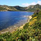 Colori di primavera al mare