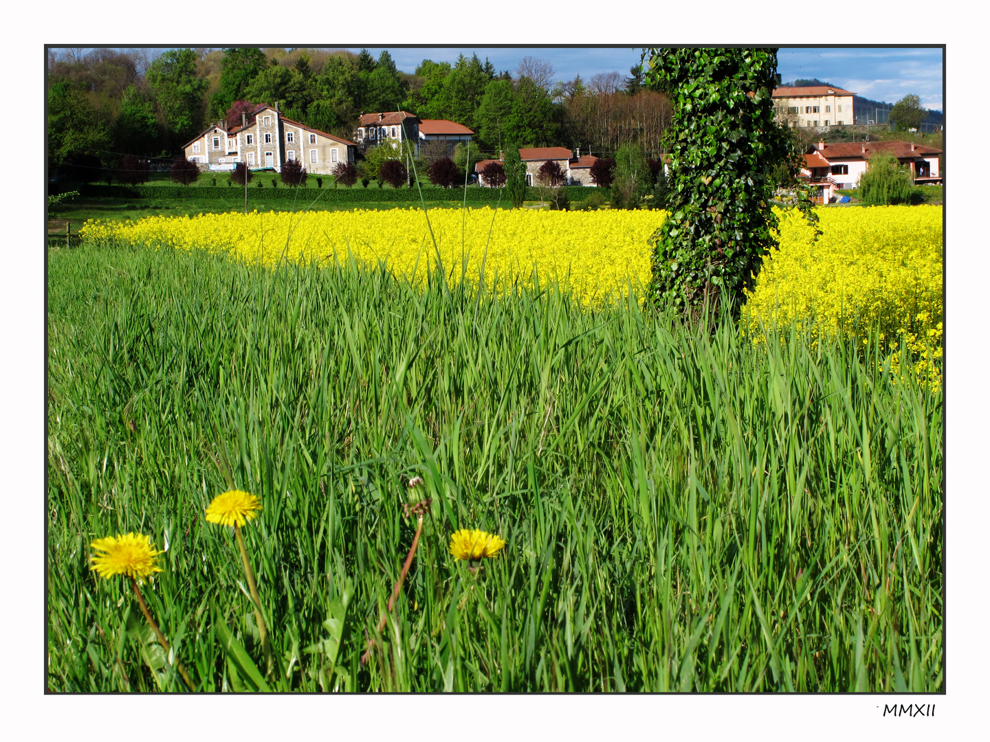 Colori di primavera finalmente con la luce della primavera