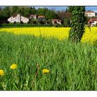 Colori di primavera finalmente con la luce della primavera