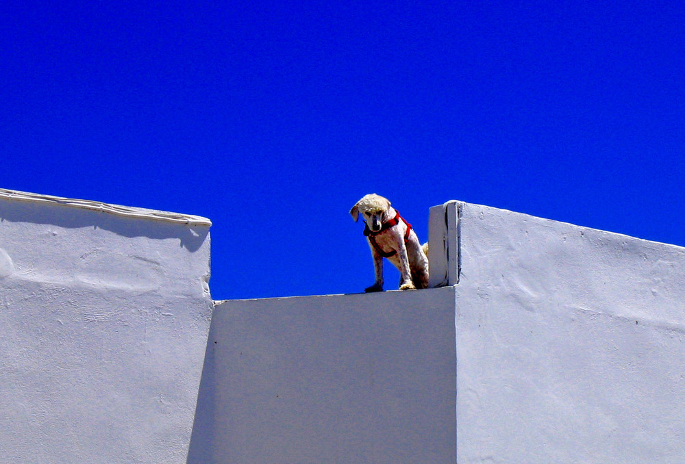 COLORI DI SANTORINI