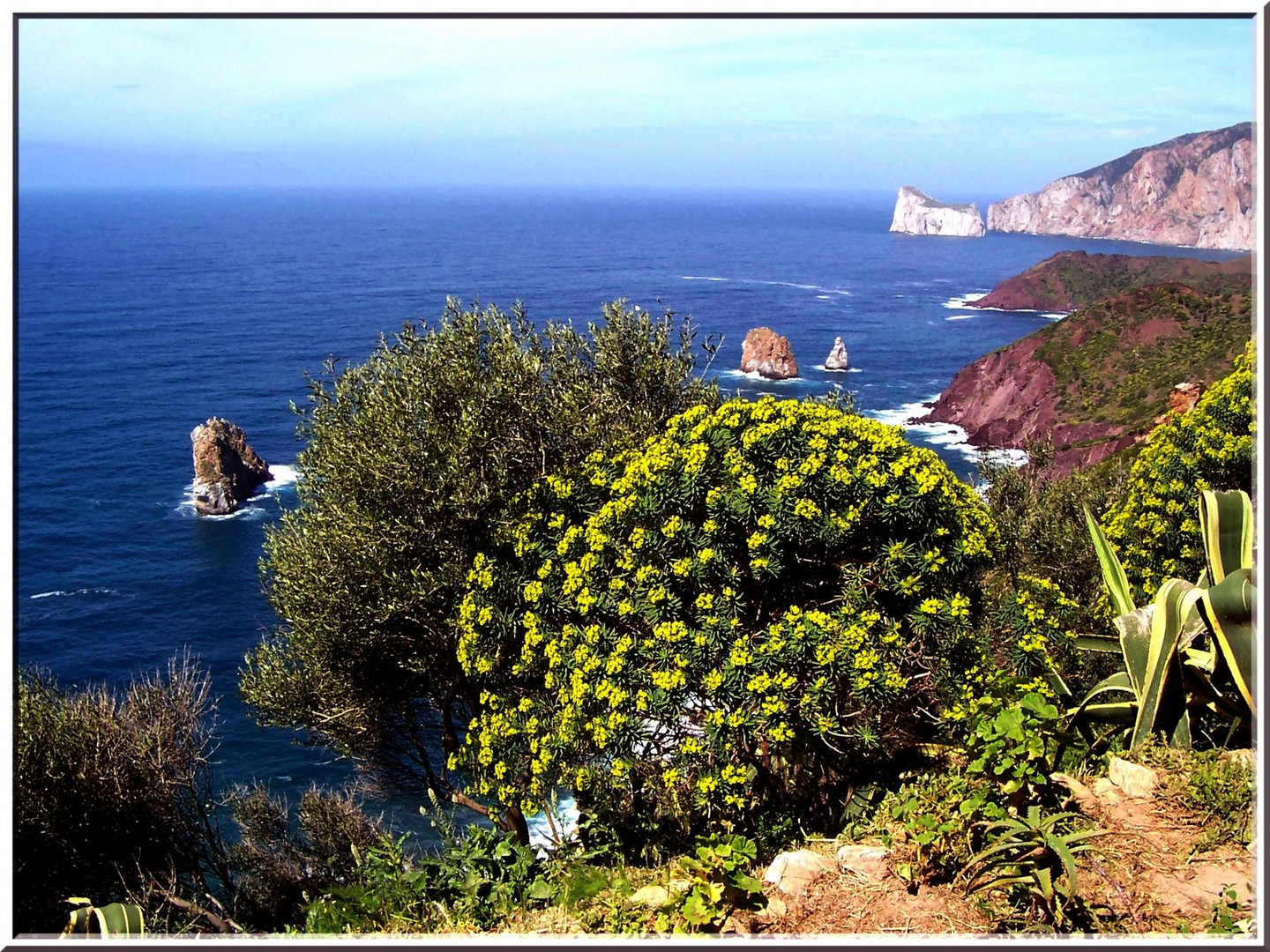 Colori di Sardegna