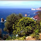 Colori di Sardegna