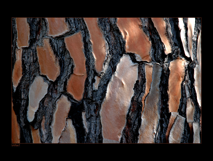 colori di sardegna 2