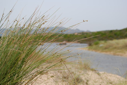 Colori di Sardegna